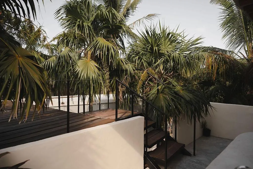 ****  Astra Tulum Hotel México
